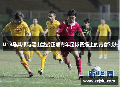 U19马其顿与黑山激战正酣青年足球赛场上的青春对决
