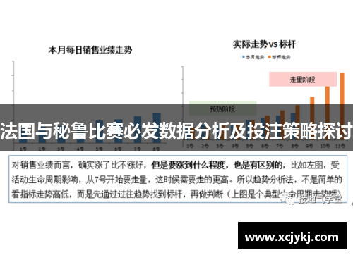 法国与秘鲁比赛必发数据分析及投注策略探讨