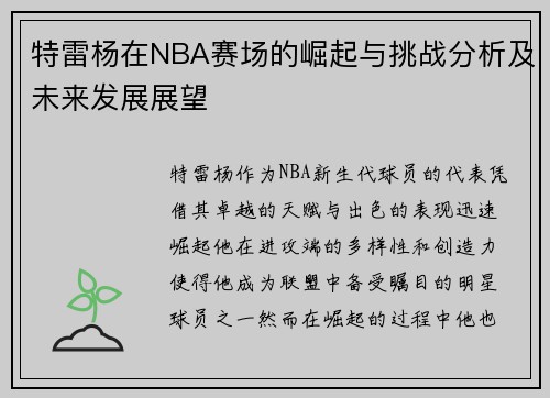 特雷杨在NBA赛场的崛起与挑战分析及未来发展展望